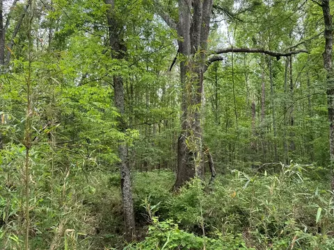 000 Green Gable Rd, Terry, MS 39170 photo 6