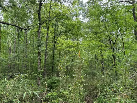 000 Green Gable Rd, Terry, MS 39170 photo 7