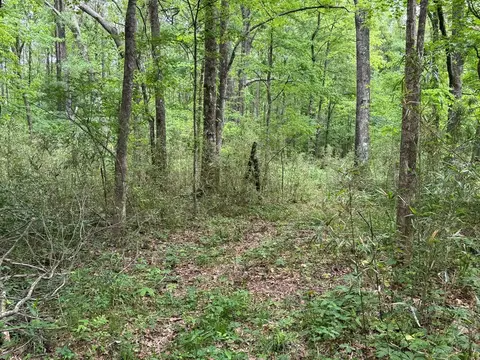 000 Green Gable Rd, Terry, MS 39170 photo 10