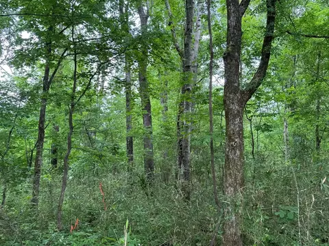 000 Green Gable Rd, Terry, MS 39170 photo 11
