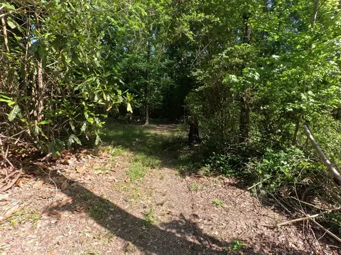 5146 New Hope Rd, Georgetown, MS 39078 photo 79