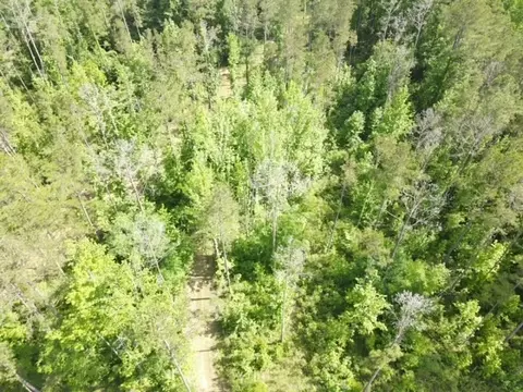 5146 New Hope Rd, Georgetown, MS 39078 photo 3