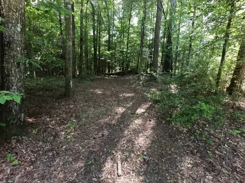 5146 New Hope Rd, Georgetown, MS 39078 photo 74