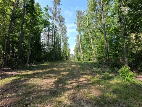 5146 New Hope Rd, Georgetown, MS 39078 photo 81