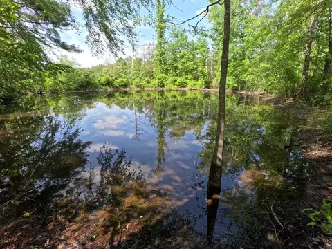 5146 New Hope Rd, Georgetown, MS 39078 photo 62
