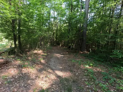 5146 New Hope Rd, Georgetown, MS 39078 photo 76