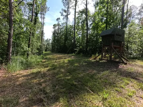 5146 New Hope Rd, Georgetown, MS 39078 photo 87