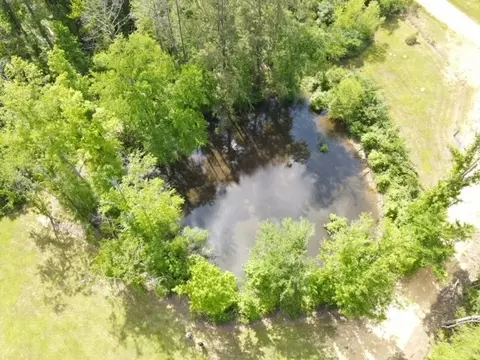 5146 New Hope Rd, Georgetown, MS 39078 photo 13