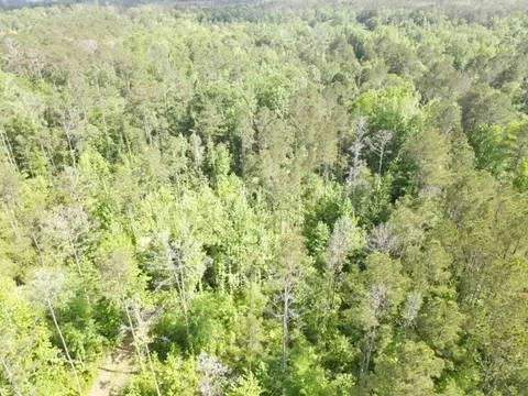 5146 New Hope Rd, Georgetown, MS 39078 photo 10