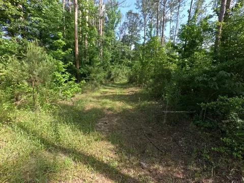 5146 New Hope Rd, Georgetown, MS 39078 photo 68