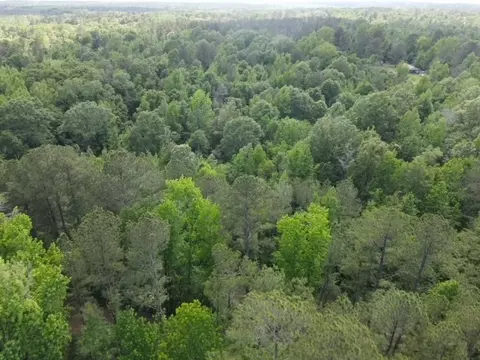 5146 New Hope Rd, Georgetown, MS 39078 photo 18