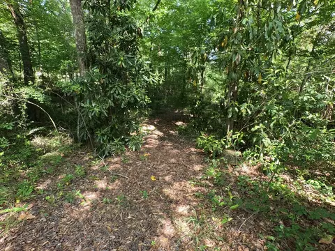 5146 New Hope Rd, Georgetown, MS 39078 photo 69