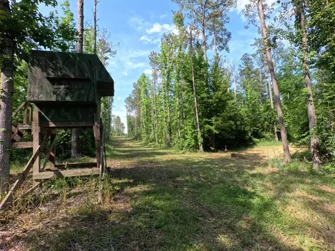 5146 New Hope Rd, Georgetown, MS 39078 photo 89
