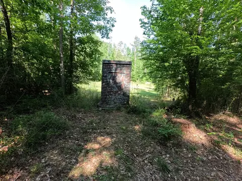 5146 New Hope Rd, Georgetown, MS 39078 photo 77