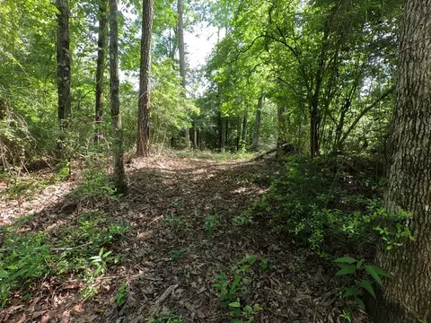 5146 New Hope Rd, Georgetown, MS 39078 photo 71