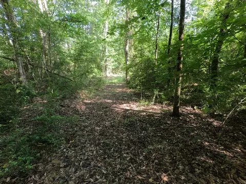 5146 New Hope Rd, Georgetown, MS 39078 photo 70