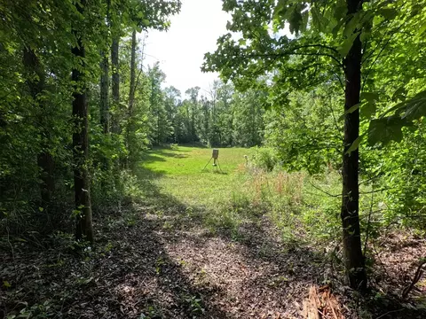 5146 New Hope Rd, Georgetown, MS 39078 photo 73