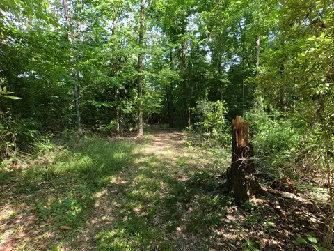 5146 New Hope Rd, Georgetown, MS 39078 photo 80