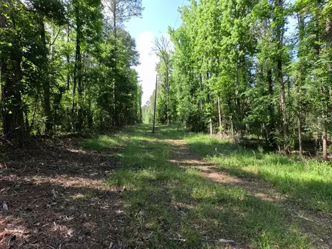 5146 New Hope Rd, Georgetown, MS 39078 photo 82