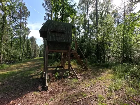 5146 New Hope Rd, Georgetown, MS 39078 photo 84