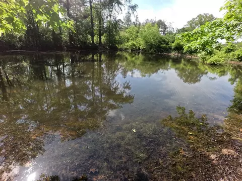 5146 New Hope Rd, Georgetown, MS 39078 photo 63