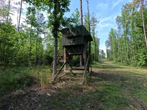 5146 New Hope Rd, Georgetown, MS 39078 photo 83