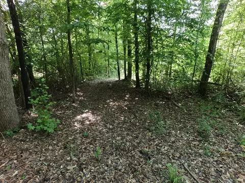 5146 New Hope Rd, Georgetown, MS 39078 photo 72