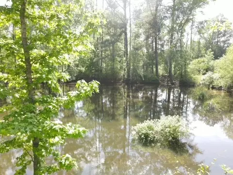 5146 New Hope Rd, Georgetown, MS 39078 photo 27