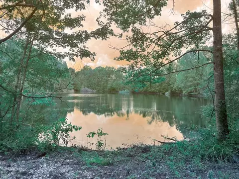tbd Adron Boyd Rd, Tylertown, MS 39667 photo 6