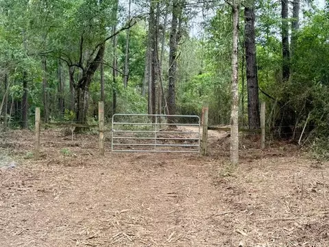 0 Mount Herman Rd, Osyka, MS 39657
