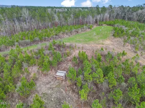 3771 Timberlane Rd, Wesson, MS 39191 photo 3
