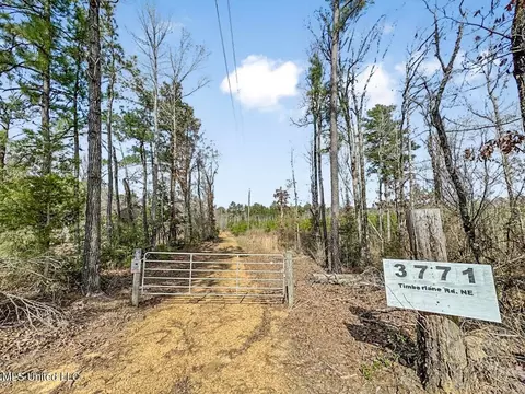 3771 Timberlane Rd, Wesson, MS 39191 photo 15