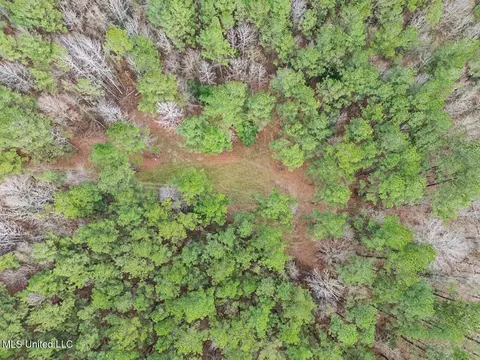 3771 Timberlane Rd, Wesson, MS 39191 photo 9