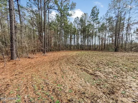 3771 Timberlane Rd, Wesson, MS 39191 photo 32