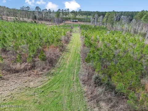 3771 Timberlane Rd, Wesson, MS 39191 photo 4