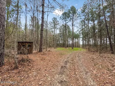 3771 Timberlane Rd, Wesson, MS 39191 photo 33