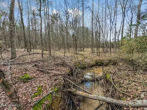 3771 Timberlane Rd, Wesson, MS 39191 photo 37