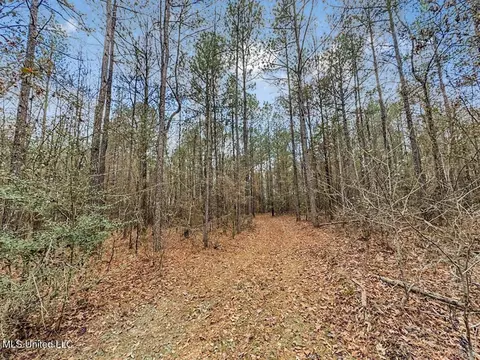 3771 Timberlane Rd, Wesson, MS 39191 photo 31