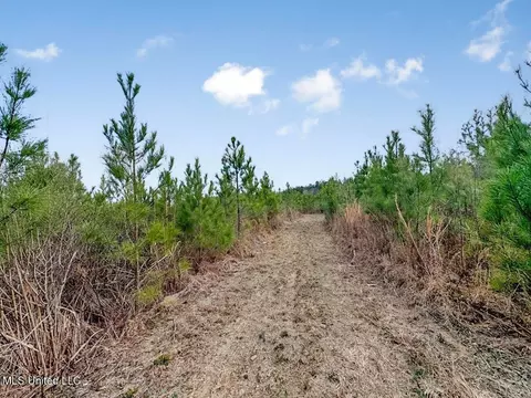 3771 Timberlane Rd, Wesson, MS 39191 photo 30