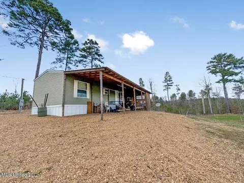 3771 Timberlane Rd, Wesson, MS 39191 photo 26
