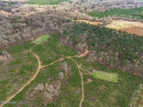 3771 Timberlane Rd, Wesson, MS 39191 photo 2