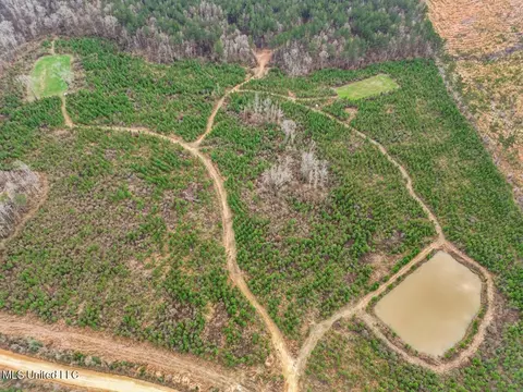 3771 Timberlane Rd, Wesson, MS 39191 photo 42