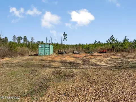 3771 Timberlane Rd, Wesson, MS 39191 photo 29