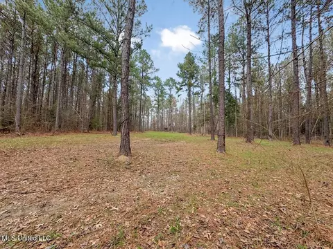 3771 Timberlane Rd, Wesson, MS 39191 photo 34