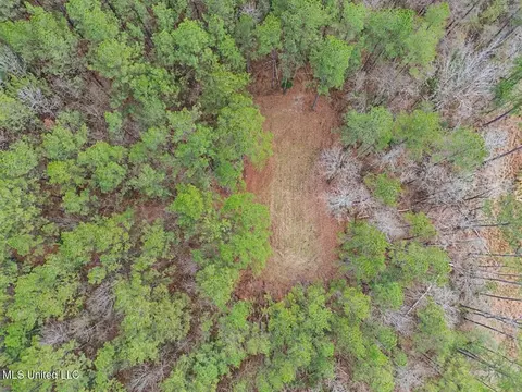 3771 Timberlane Rd, Wesson, MS 39191 photo 8