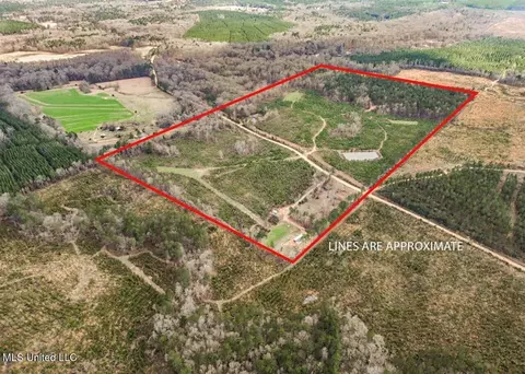 3771 Timberlane Rd, Wesson, MS 39191