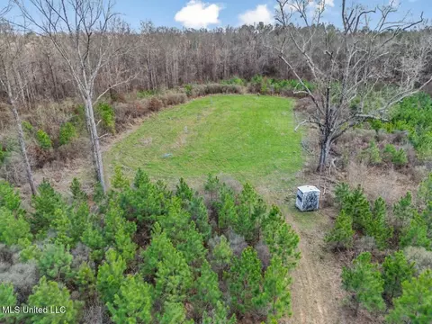 3771 Timberlane Rd, Wesson, MS 39191 photo 7