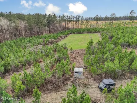 3771 Timberlane Rd, Wesson, MS 39191 photo 6