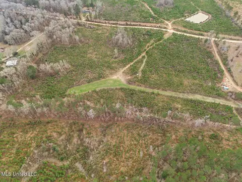 3771 Timberlane Rd, Wesson, MS 39191 photo 41