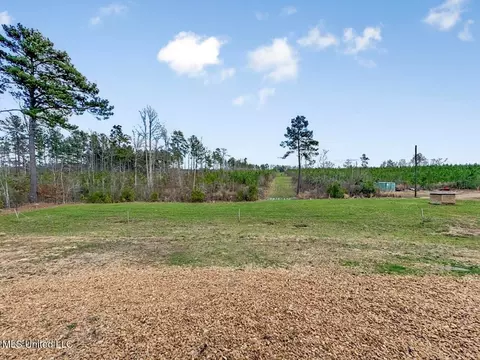3771 Timberlane Rd, Wesson, MS 39191 photo 28